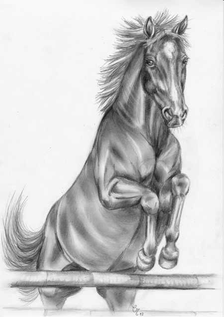 Zeichnung springendes Pferd